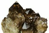 Smoky Citrine Crystal Cluster - Lwena, Congo #128424-4